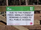 forest fire swinley forest fire p5090040