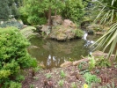 forest tranquil woodland with pool 2