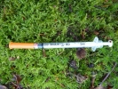 medical syringe insulin on moss 1