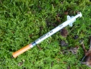 medical syringe insulin on moss 2