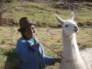 people old woman and llama p1010244 b
