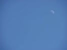 sky blue sky with moon