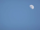 sky moon p1030307