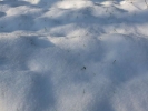 snow and ice snow on ground closeup p1030192 b