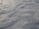 snow and ice snow on ground closeup p1030198 b