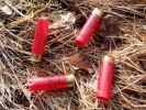 trauma shotgun cartridges in woodland