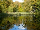 water lake autumn p1040897